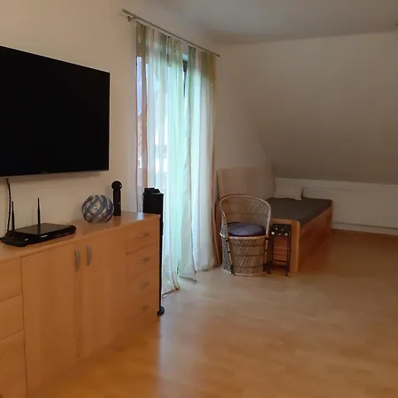 Apartment Grosszuegige Drei-zimmer-wohnung Mit Parkplatz